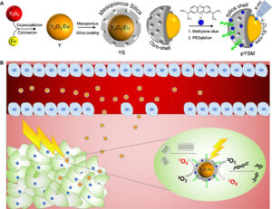 systemic-antitumor-immune